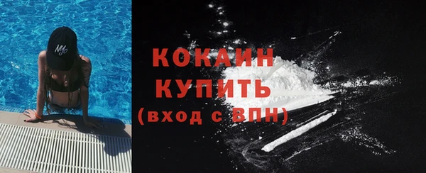 PSILOCYBIN Сатка