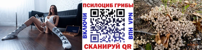 Купить закладки  Юрьевец  Галлюциногенные грибы Psilocybine cubensis 